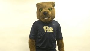 Meet your Posher, Zaneta